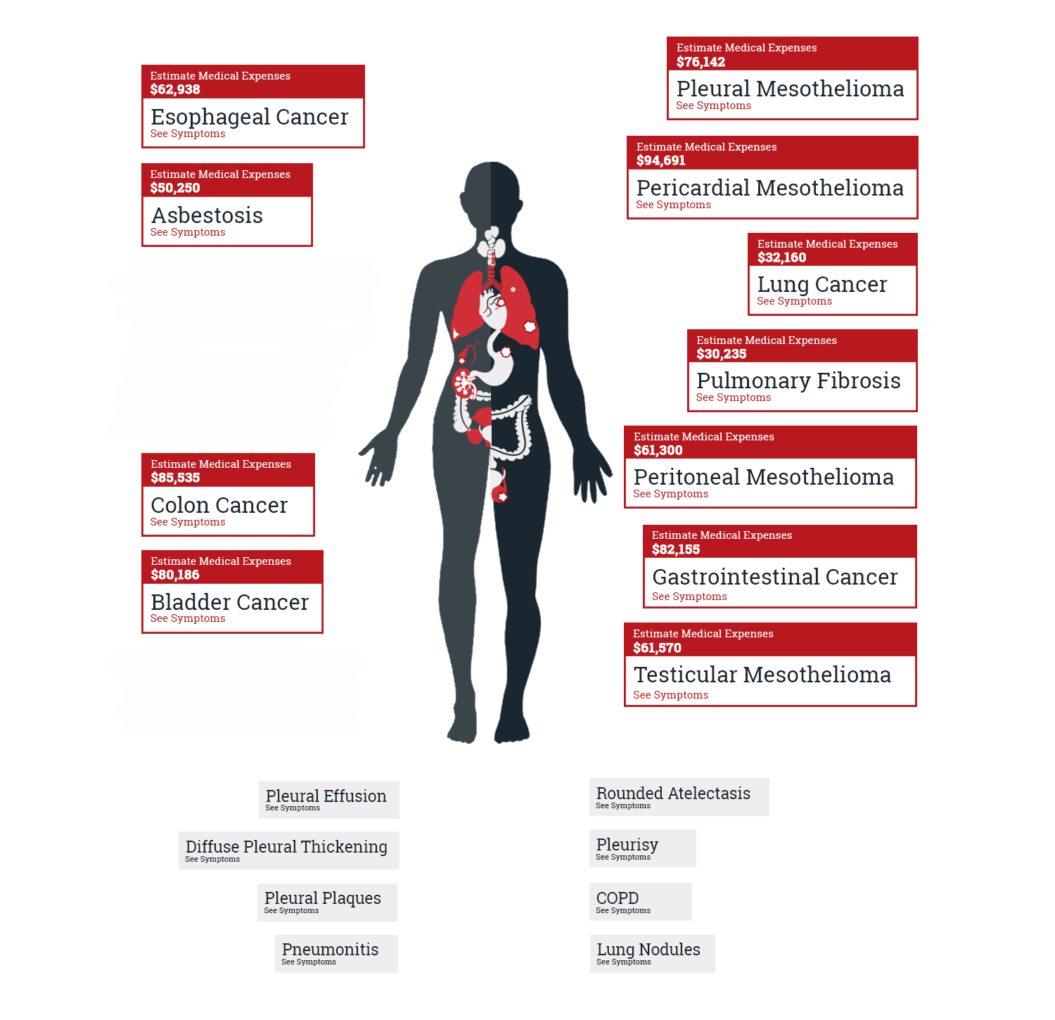 What Kind Of Cancers Can Asbestos Exposure Cause Elg Law