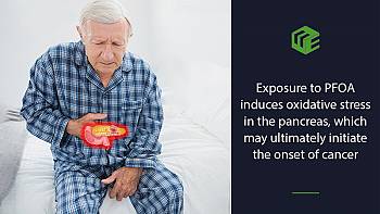 Exposure to the toxic chemicals present on contaminated military bases can lead to pancreatic cancer
