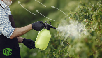 How paraquat is endangering US farmworkers