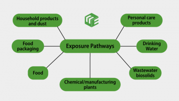 PFAS exposure pathways