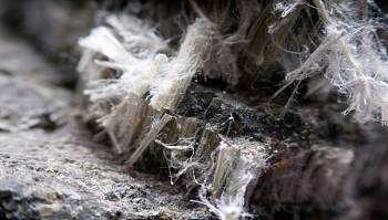 The size and shape of the asbestos fibers may play a role in carcinogenicity