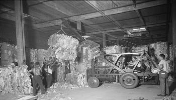 Asbestos-related occupational diseases among longshoremen and their legal implications
