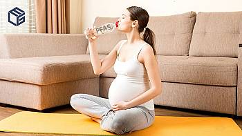 The silent threat: how PFAS chemicals impact women, pregnancy, and human development