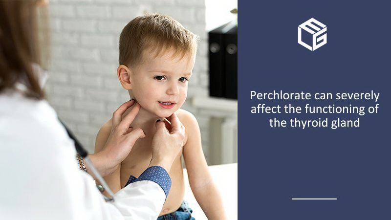 Perchlorate in baby food is dangerous