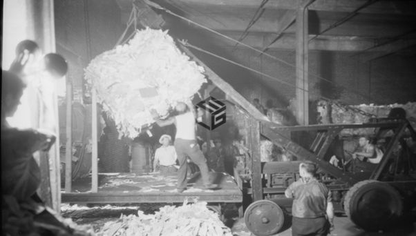 Longshormen exposed to asbestos