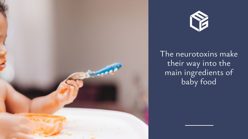 Neurotoxins make their way into the main ingredients of baby food