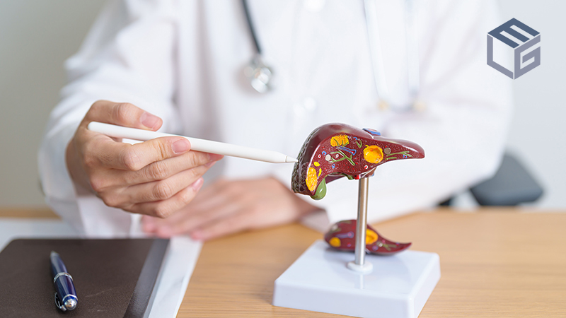 Ethylene oxide exposure and liver cancer: What science reveals