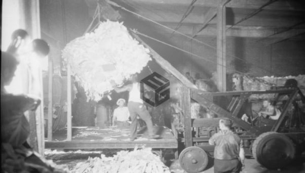 Asbestos exposure in longshoremen