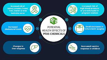 The adverse health effects of PFAS exposure, backed by science
